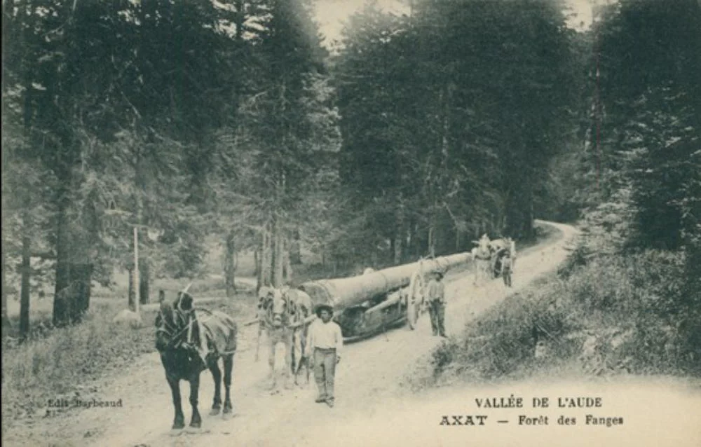 bois-transport-1