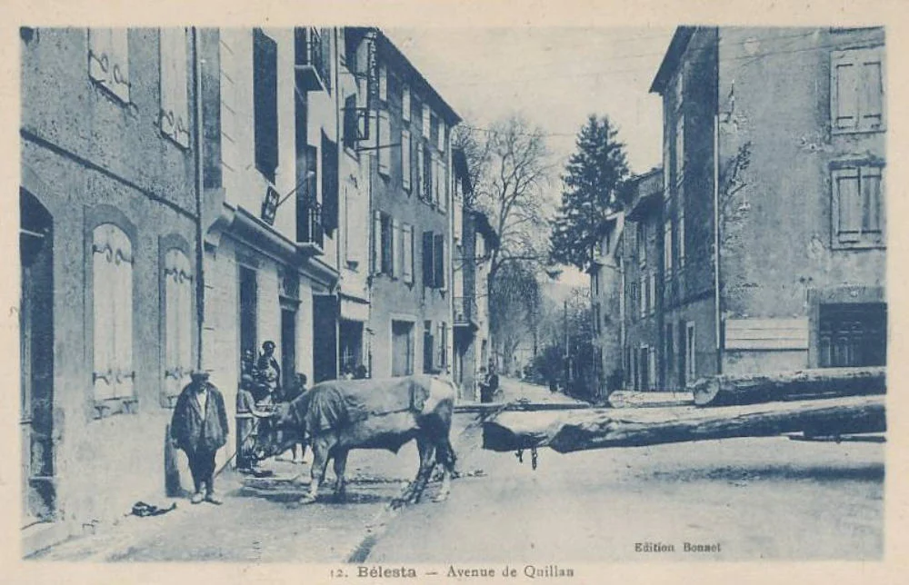 bois-transport-13