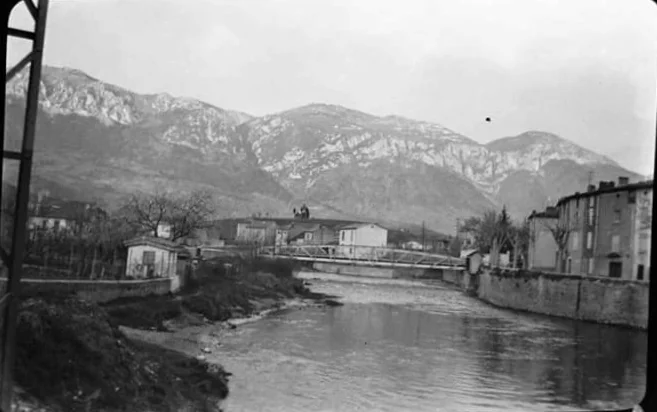hille-4