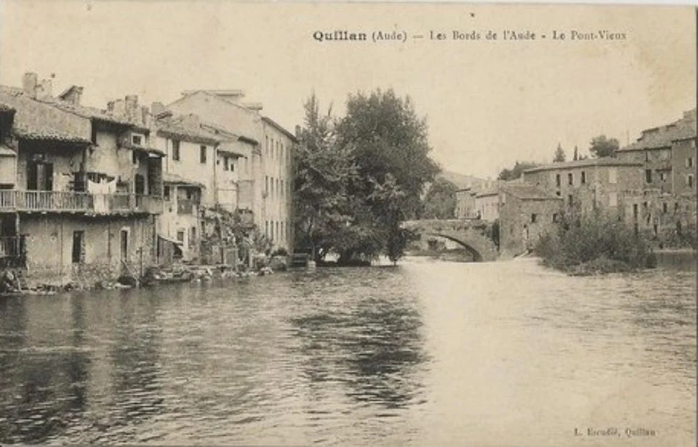 hille-6